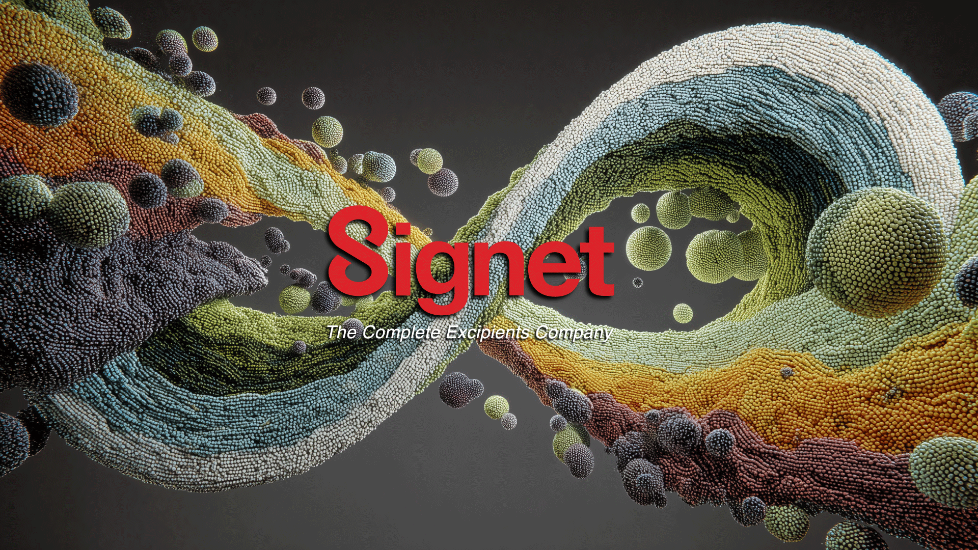 Signet Banner